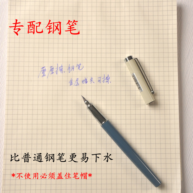 Thermosensitive Erasable Ink 2 - Fountain Pen Bottled Ink recensione e prezzo
