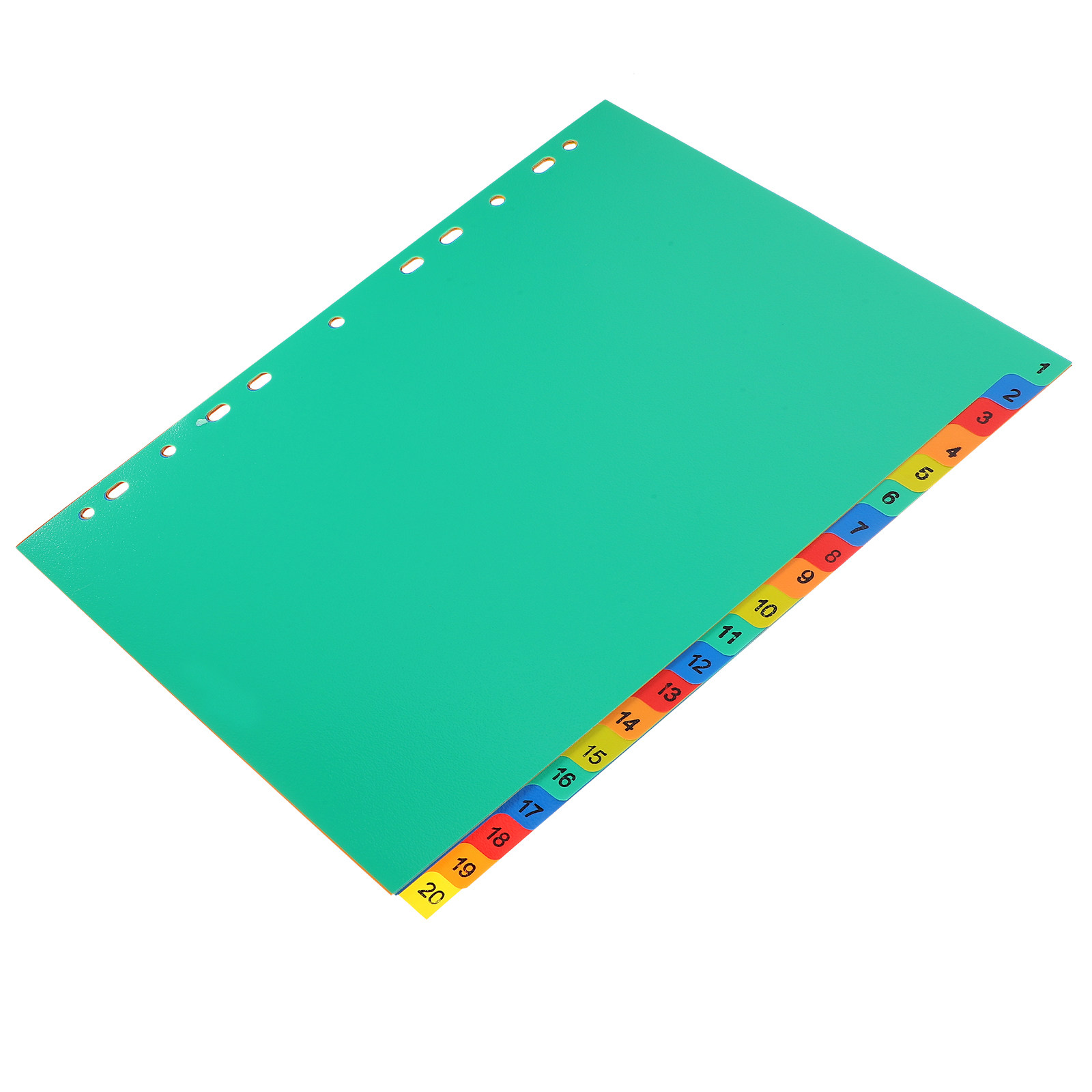 Plastic A4 Binder Dividers 20  - Tab Divider A4 recensione e prezzo