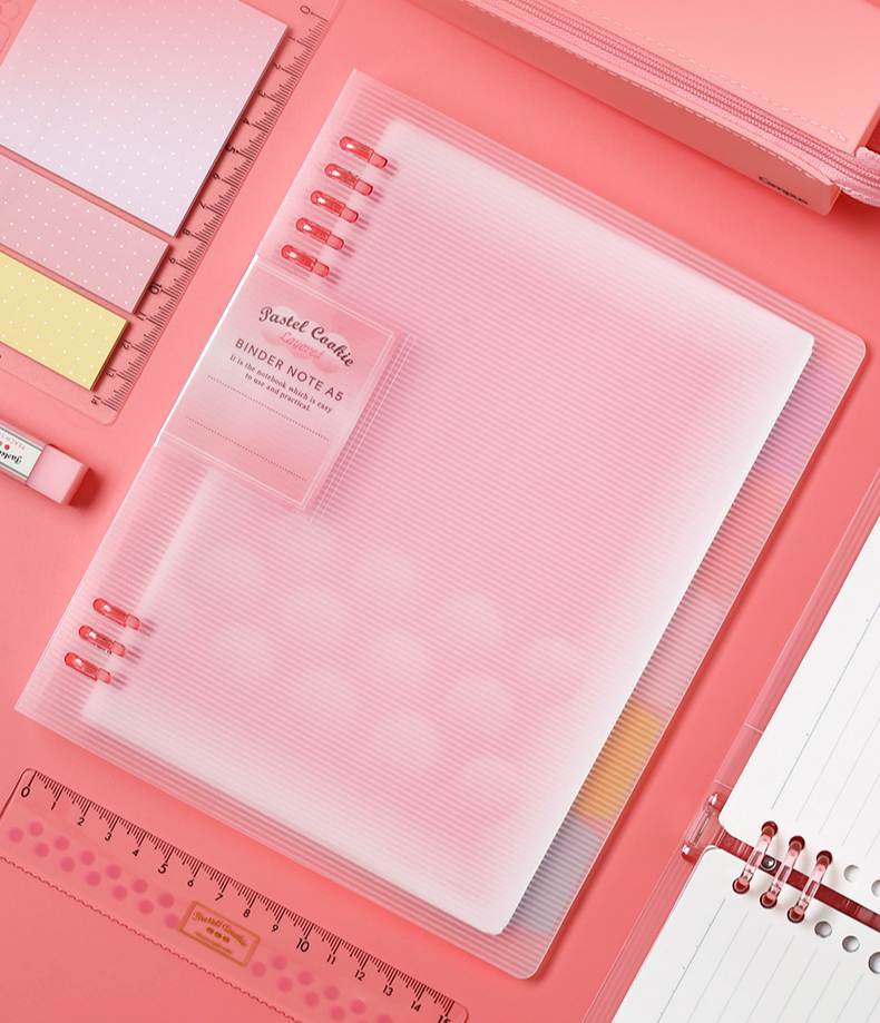 1Pc KOKUYO Loose Leaf Notebook - Binder A4 Lever recensione e prezzo