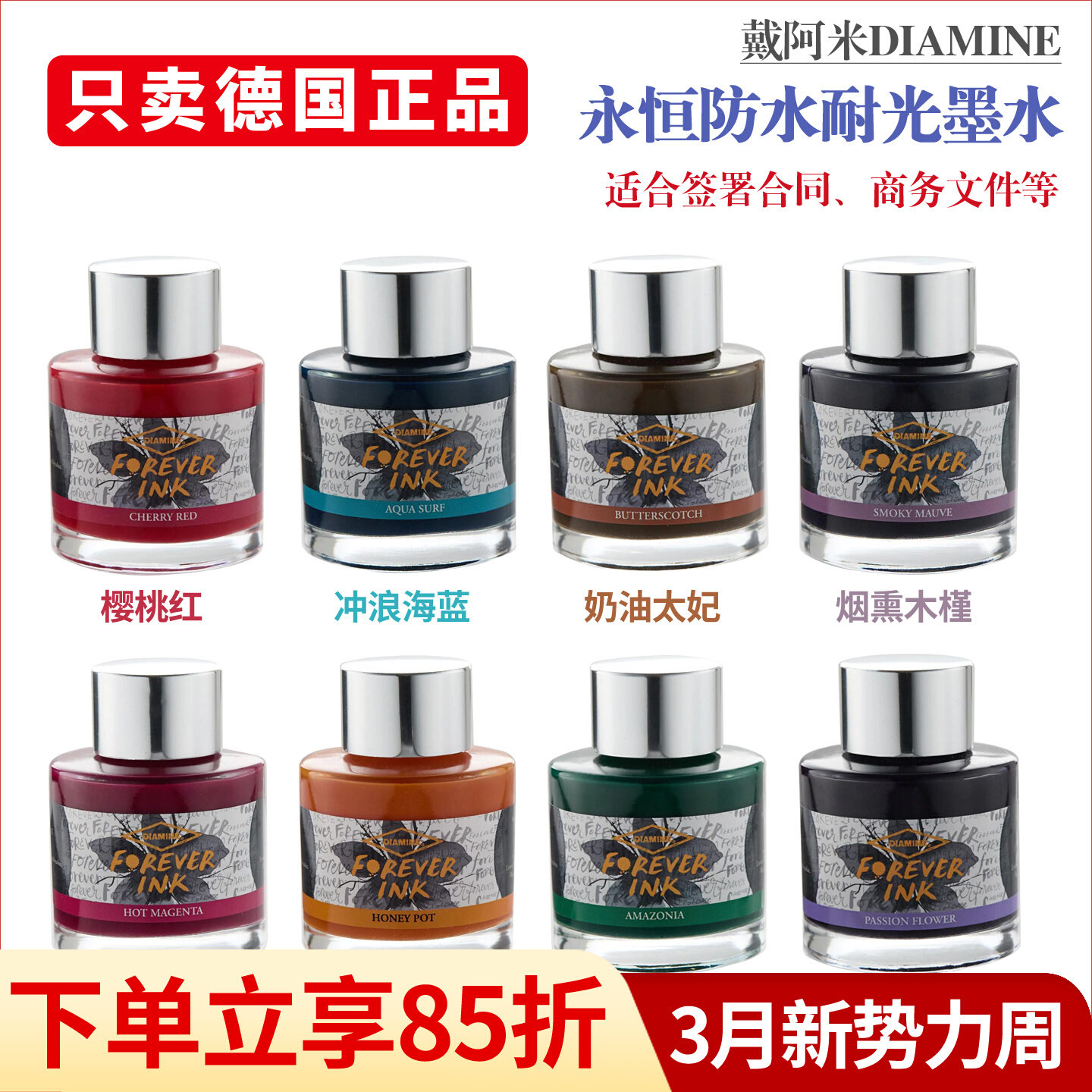 DIAMINE Wear Ami Ink Eternal W - Fountain Pen Bottled Ink recensione e prezzo