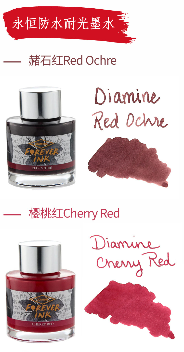 DIAMINE Wear Ami Ink Eternal W - Fountain Pen Bottled Ink recensione e prezzo