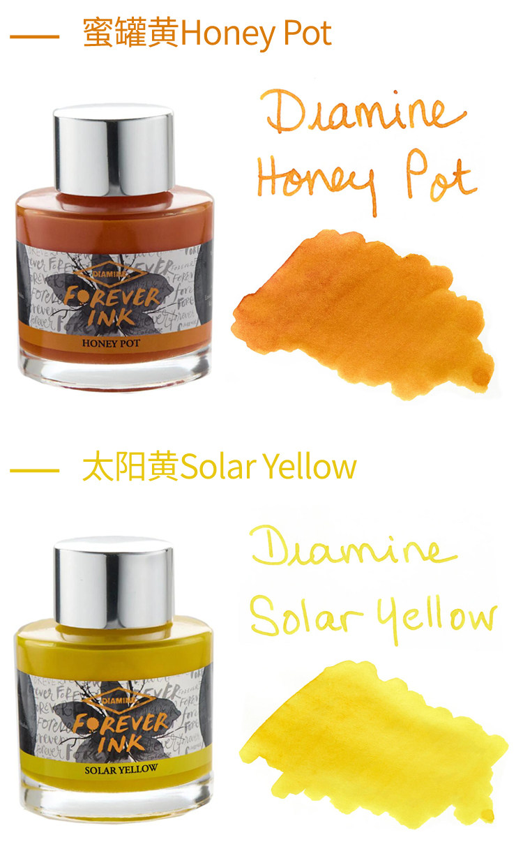 DIAMINE Wear Ami Ink Eternal W - Fountain Pen Bottled Ink recensione e prezzo