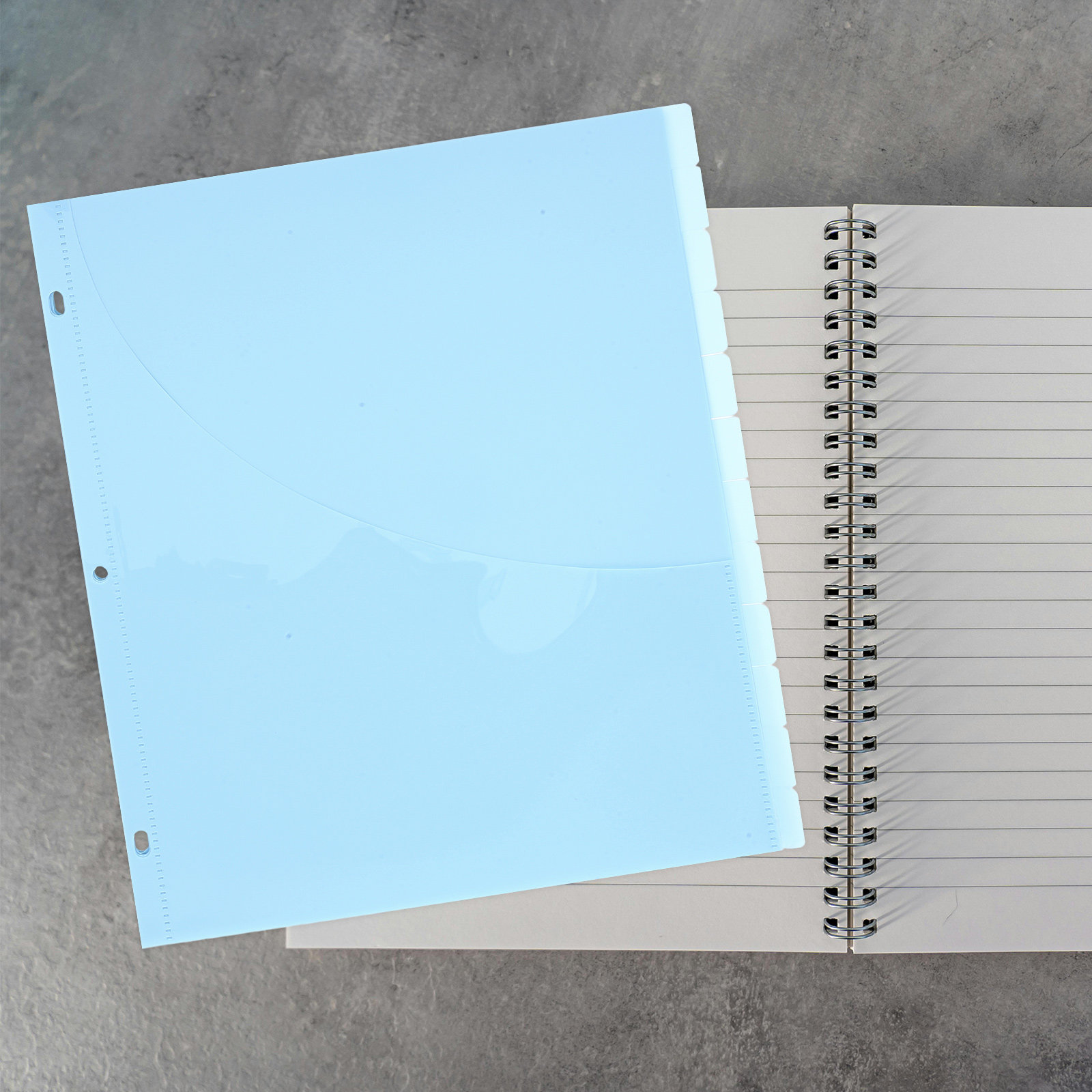 12Pcs Binder Dividers A4 Plast - Tab Divider A4 recensione e prezzo
