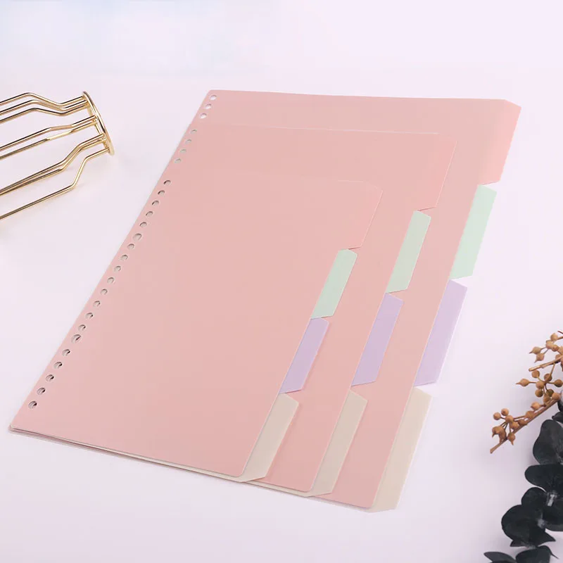 Colorful Dividers for A5 Plann - Tab Divider A4 recensione e prezzo