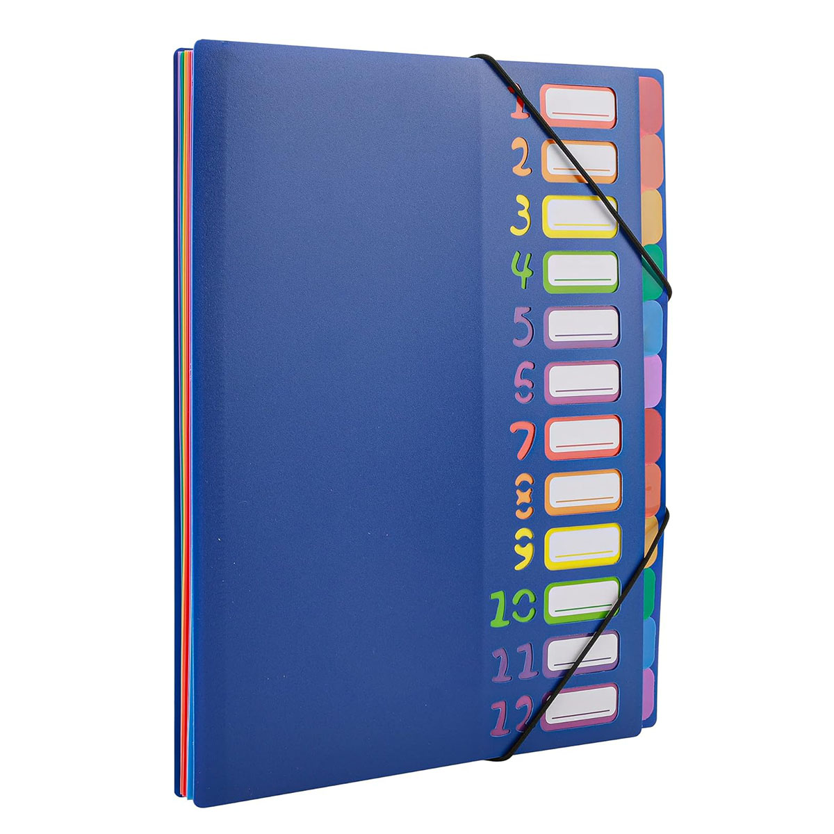 A4 Size Rainbow Tab Expanding  - Tab Divider A4 recensione e prezzo