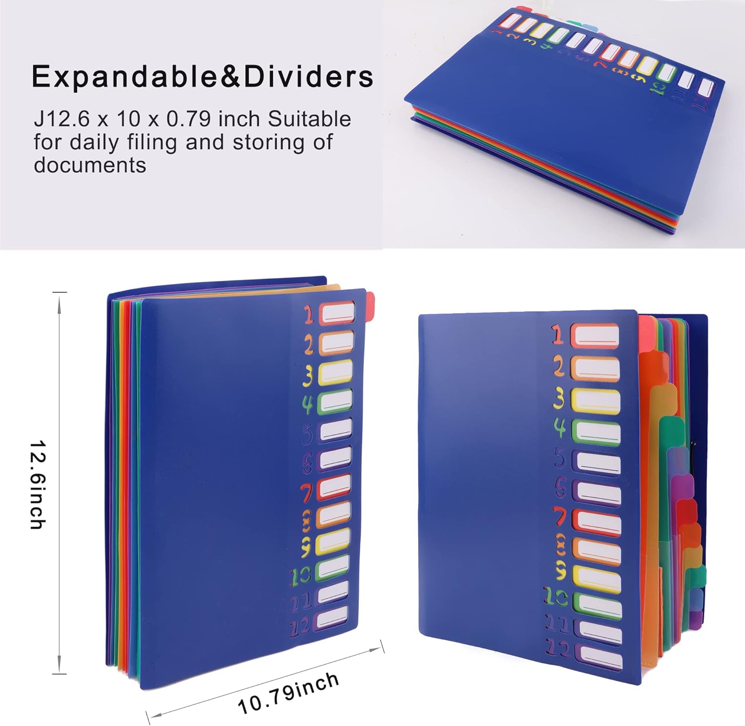 A4 Size Rainbow Tab Expanding  - Tab Divider A4 recensione e prezzo